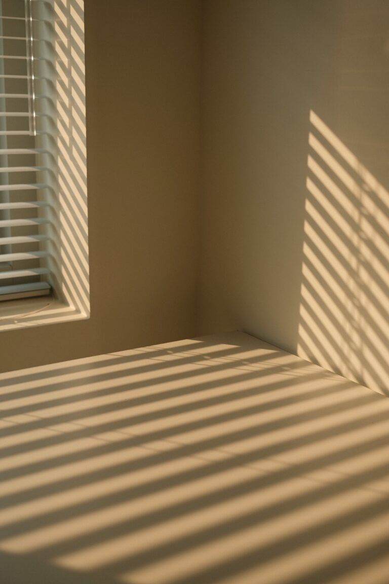 Brise soleil